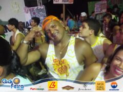 Bloco Skol Folia